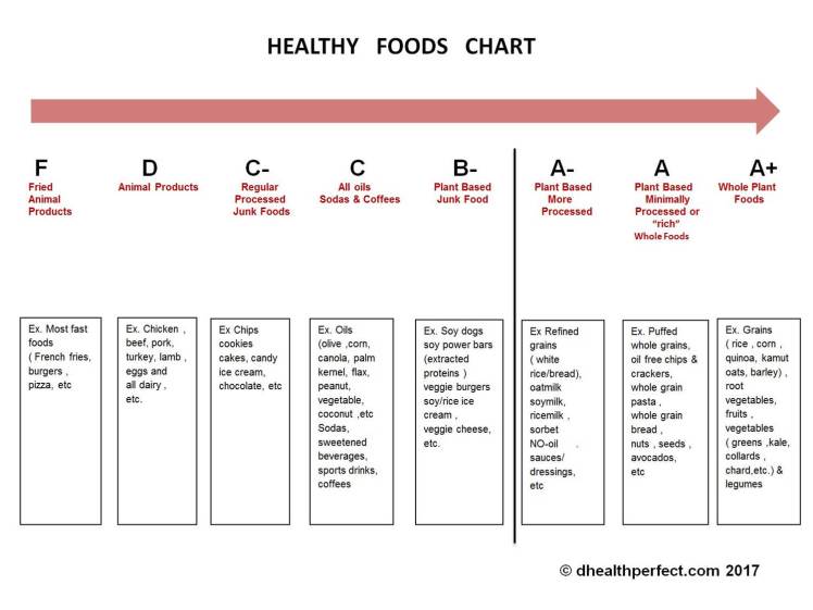 Exsalus - foods DA pic 2